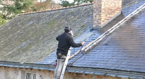 Nettoyage & Démoussage des toits & Façades