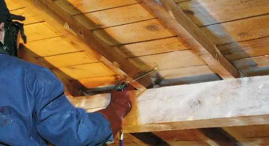 Traitement de Charpente